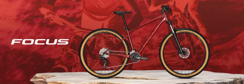 Focus Bike