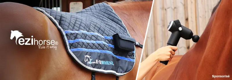 E-Zihorse