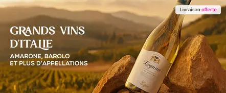 Grands vins d'Italie