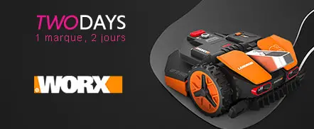 Worx