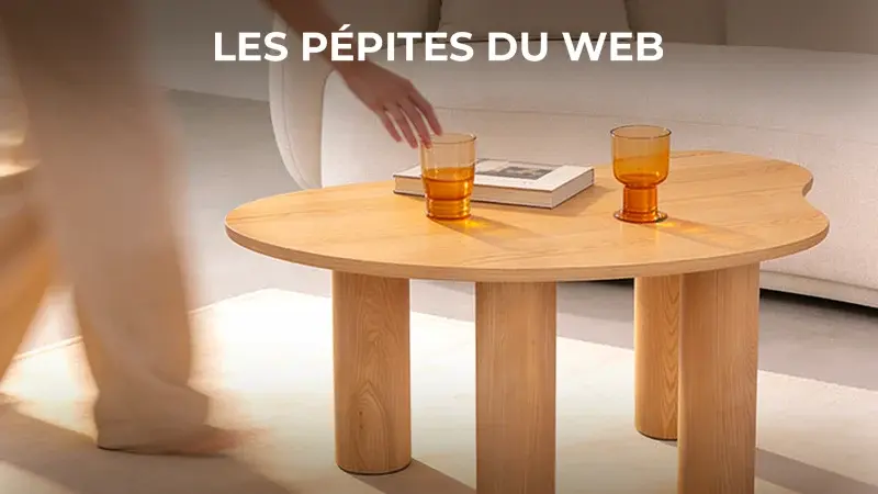 Les Pépites Du Web