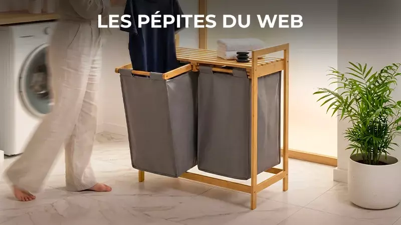 Les Pépites Du Web