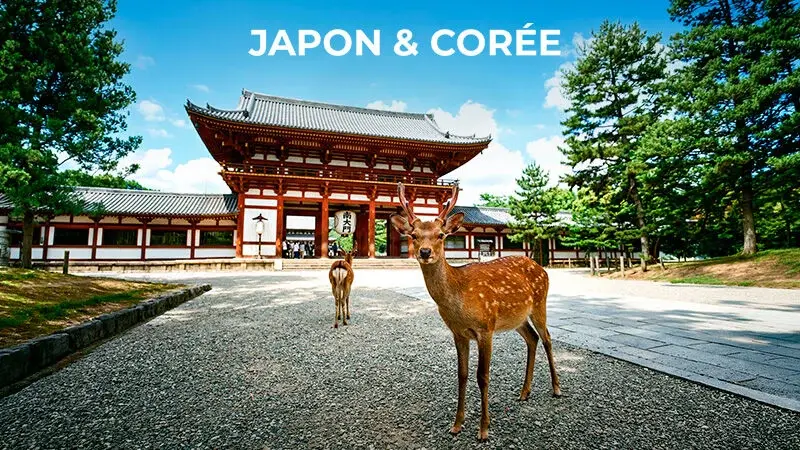 Japon & Corée