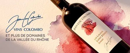 Vignobles de la Vallée du Rhône