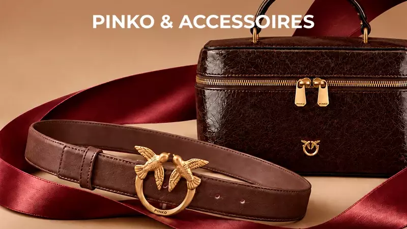 Pinko bags and accessories