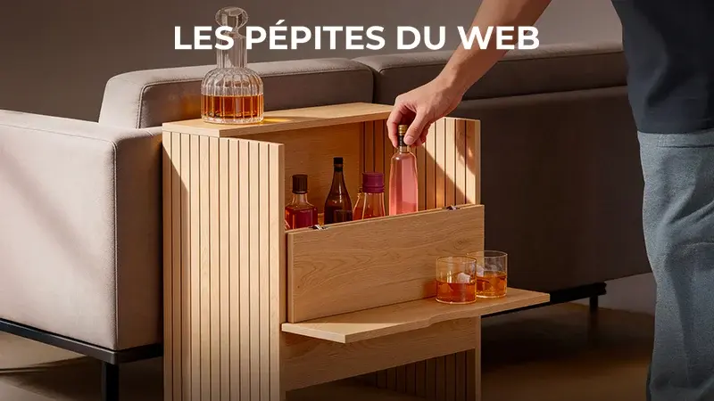 Les Pépites Du Web
